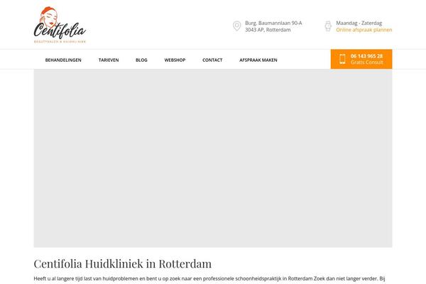 Cinderella theme site design template sample