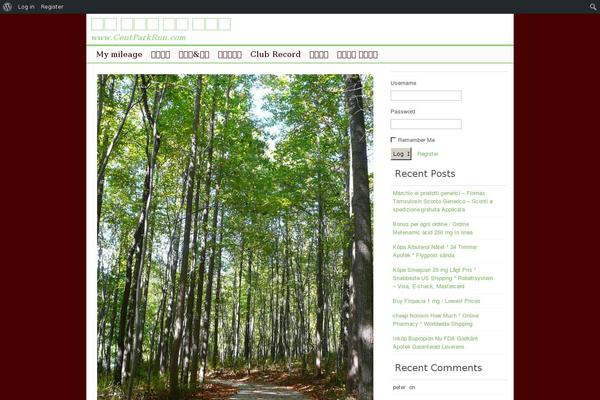 Site using Page navi slider plugin