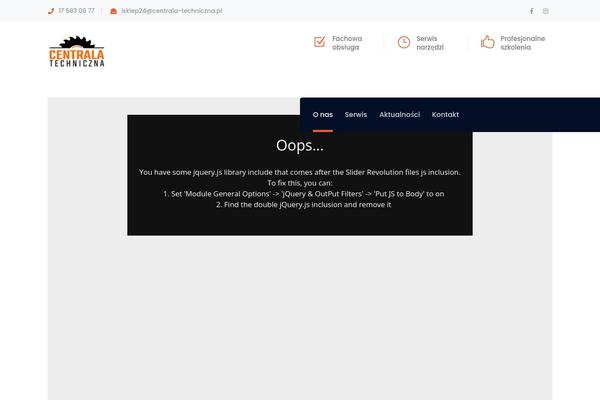 Bauer theme site design template sample