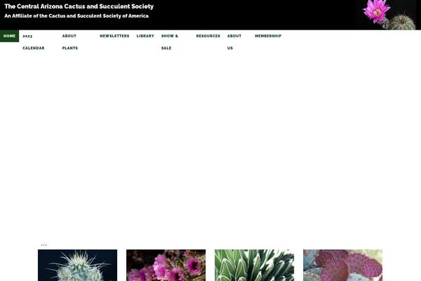 Site using Woocommerce-product-addons plugin