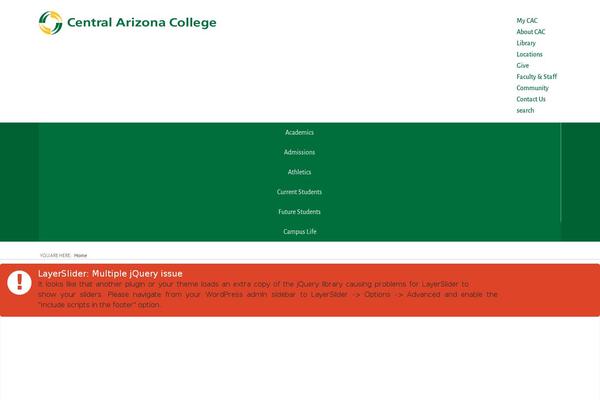 Site using WP Accessibility plugin