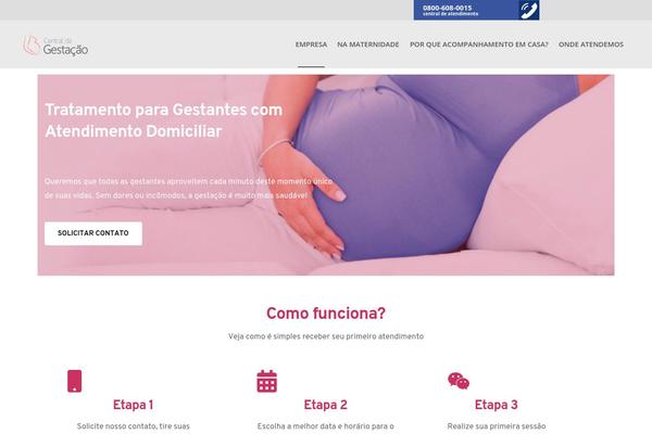 Site using Brizy plugin