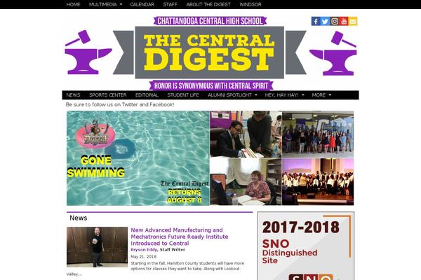 Sno Flex theme site design template sample