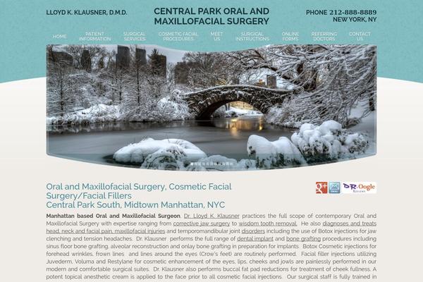 2113-template theme websites examples