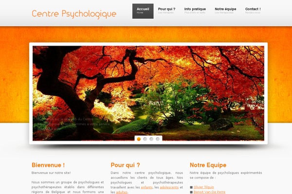 Site using Widgetize Pages Light plugin