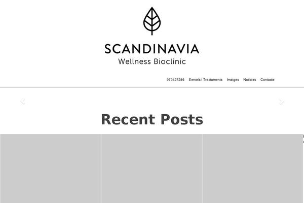 centrealexandra.com site used Icon WP