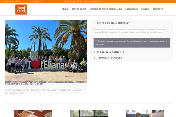 Executive-wp theme site design template sample