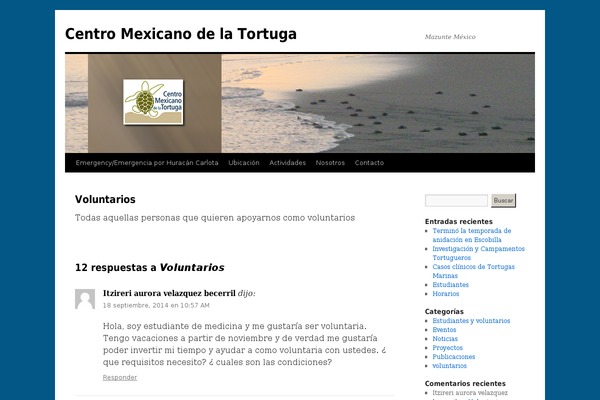 Extra theme site design template sample