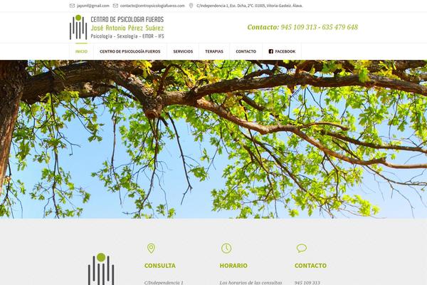Site using Cmsmasters-mega-menu plugin