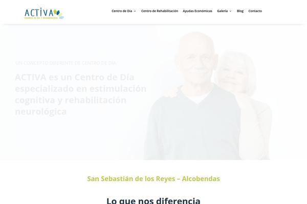 Site using Divi-pixel plugin