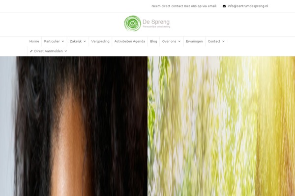 Site using Easy Facebook Like Box plugin