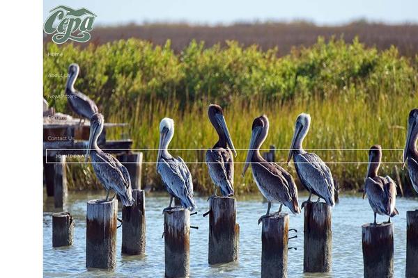 cepaonline.org site used Cepa-2021