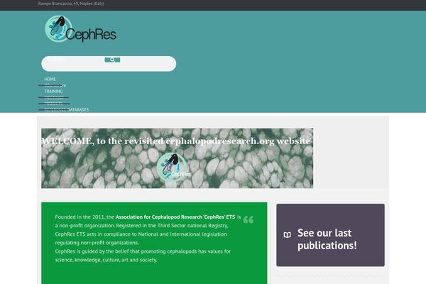 Alhambra theme site design template sample