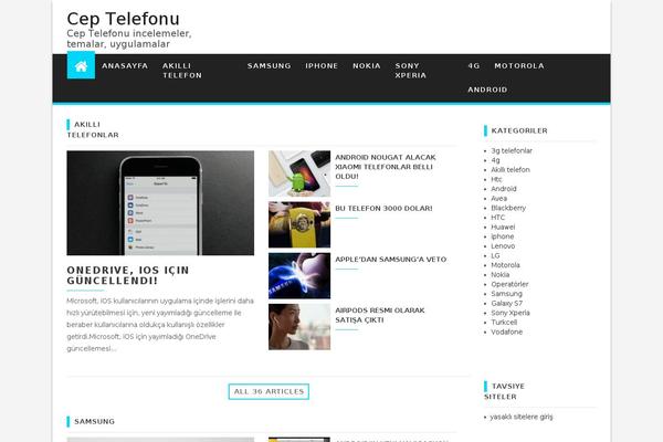 First Mag theme site design template sample