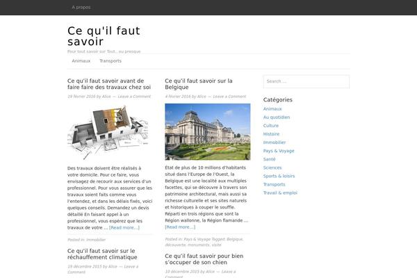 Magazine theme site design template sample