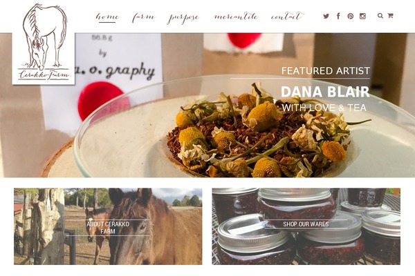 Site using Wp-show-posts plugin