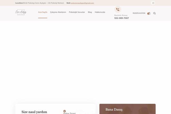 Psychare theme site design template sample