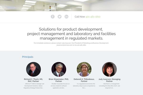 Paeon theme site design template sample