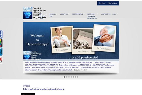 Wp Flexishop theme site design template sample