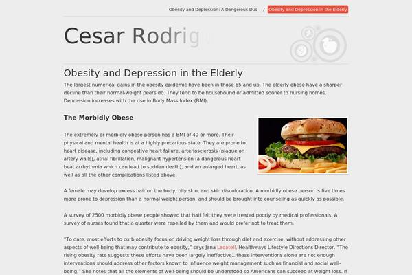 Food and Diet theme site design template sample