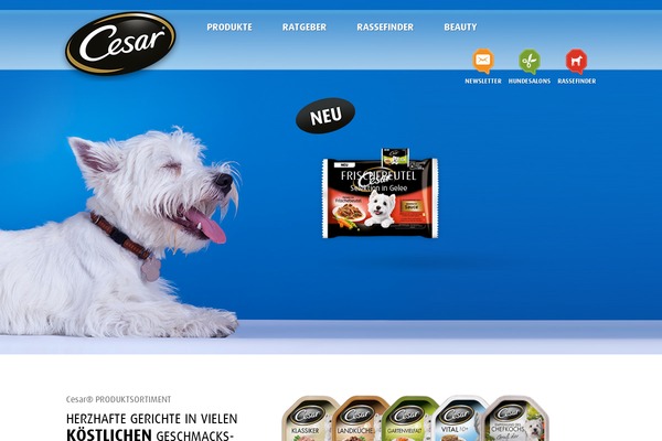 Cesar theme site design template sample