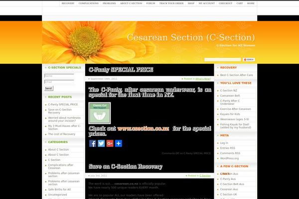 Orange Flower theme site design template sample