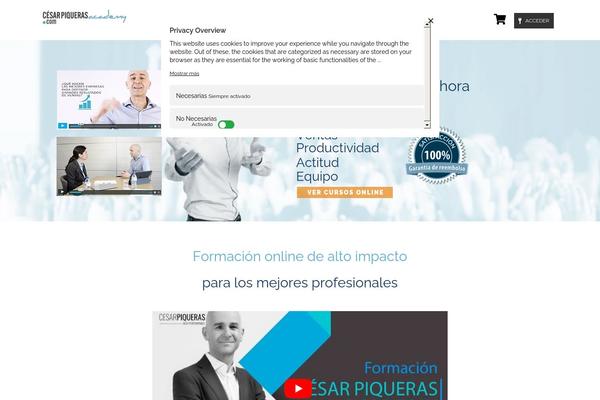 Site using Rocket-lazy-load plugin