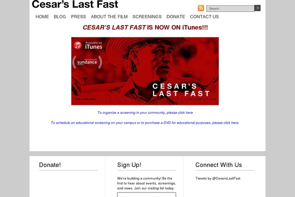 iBusiness theme site design template sample