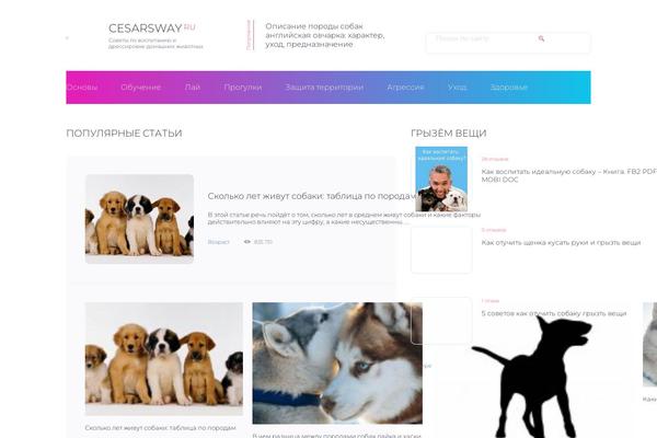 Sreda-design-nocat theme site design template sample