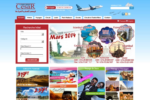 Cesar theme site design template sample