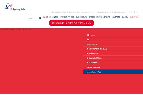 Site using Skaut-google-drive-gallery plugin