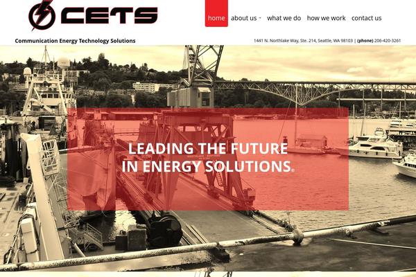 cetsinc.com site used Disillusion