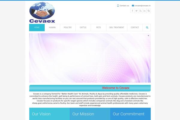 MediCure theme site design template sample