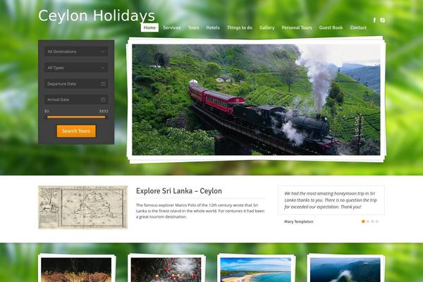 Midway theme site design template sample