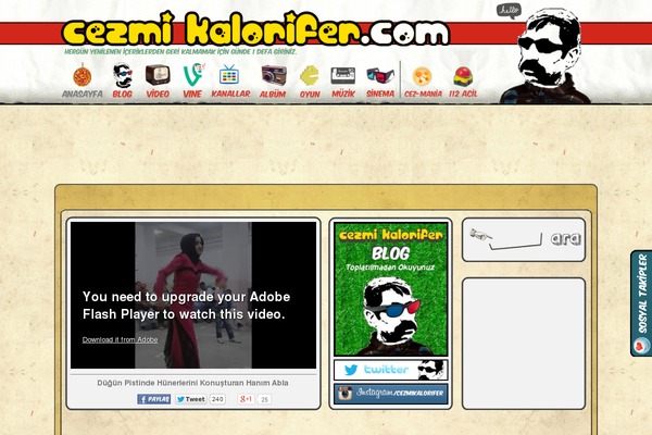 Site using Media-ace plugin