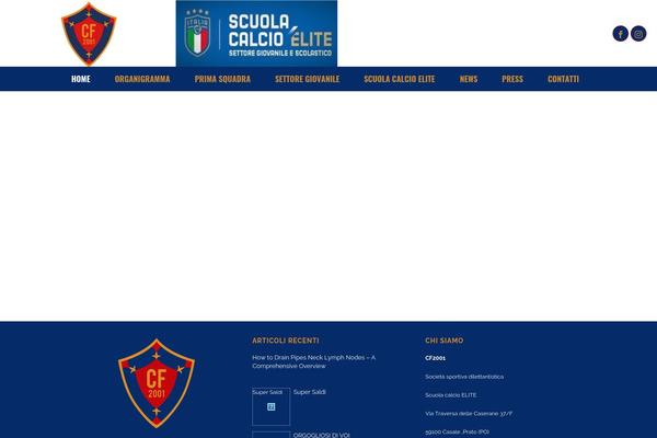 Site using Total-team-lite plugin