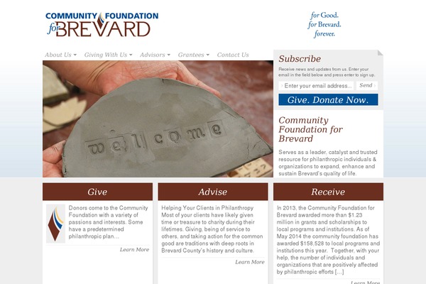 NonProfit theme site design template sample
