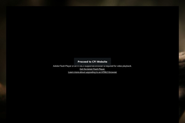 Dunamis theme site design template sample