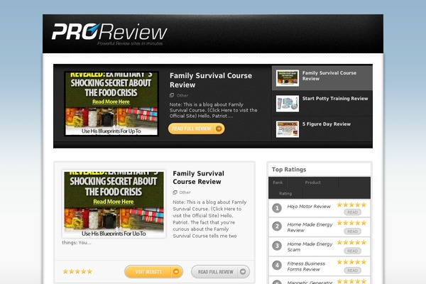Proreview theme site design template sample