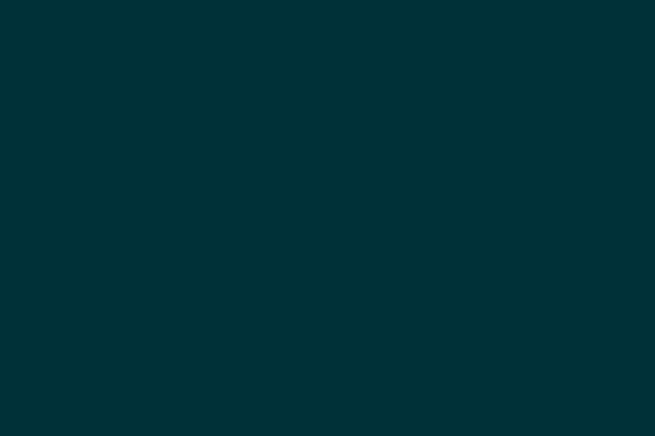 Site using Ubermenu plugin