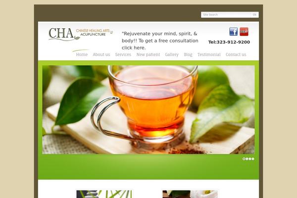 chaacupuncture.com site used Theme1324