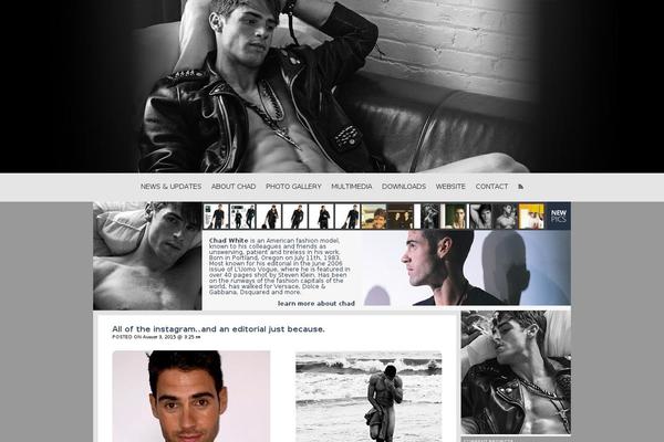 Site using Twitter-blackbird-pie plugin