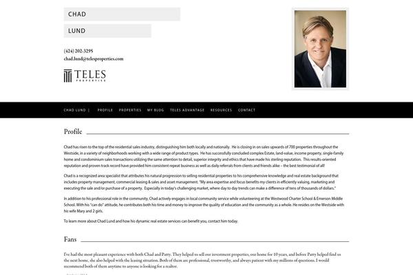 Teles theme site design template sample