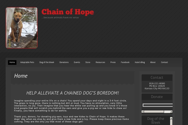 Destro theme site design template sample