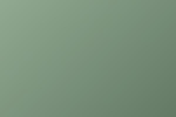 Site using LayerSlider plugin
