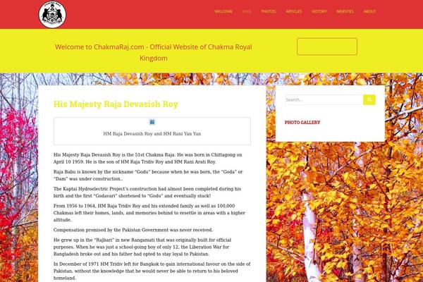 Sparkling theme site design template sample