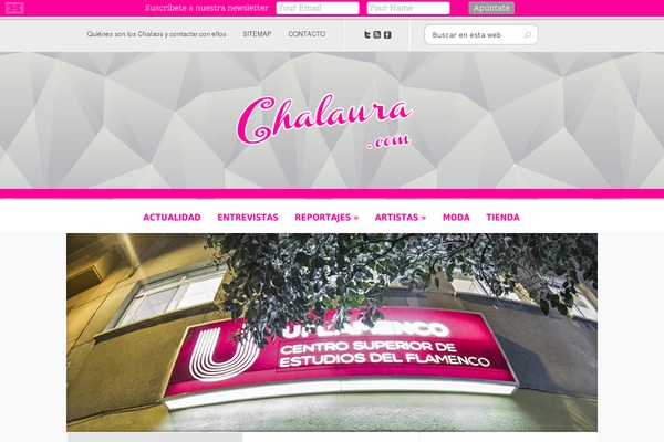 Howes theme site design template sample