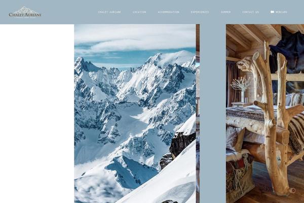 Amedeo theme site design template sample