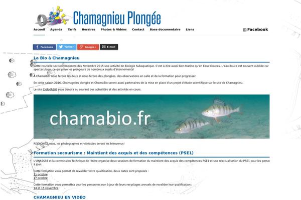 Imbalance theme site design template sample