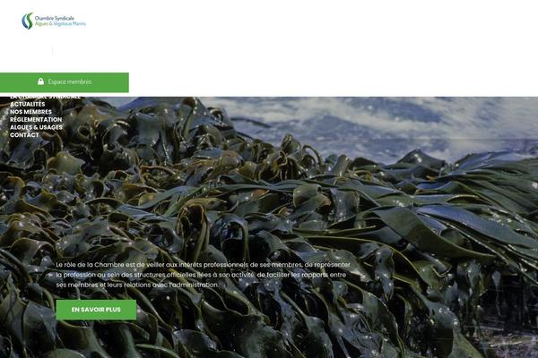 Exhibz theme site design template sample